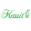 کاسیت