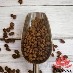 دانه قهوه صد ربوستا اقتصادی موبیکا
